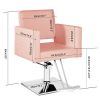 Salon Chair for Hair Stylist, Hydraulic Swivel Barber Styling Chair, Classic Beauty Spa Equipment